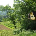 cabane dans les arbres 150x150