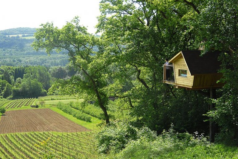 cabane dans les arbres 768x515